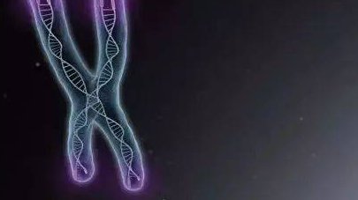 成都三代试管费用要多少？大致花费超过十万起！