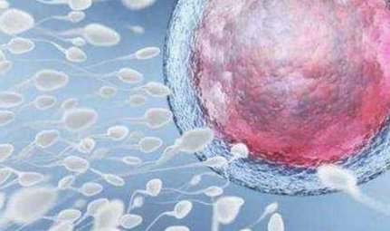 女性有染色体罗氏易位在昭通市做试管养囊成功率高吗？试管移植后需要保胎吗！