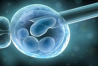 哪些自身因素影响做试管婴儿的成功率？